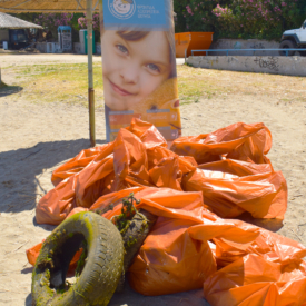 Καθαρίζοντας τη Μεσόγειο