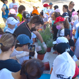 Καθαρίζοντας τη Μεσόγειο