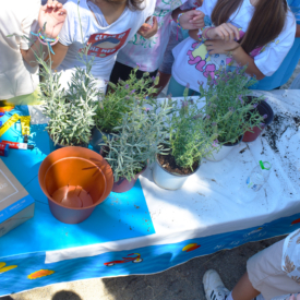 Καθαρίζοντας τη Μεσόγειο