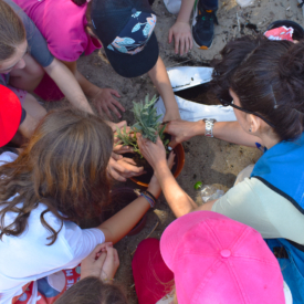 Καθαρίζοντας τη Μεσόγειο
