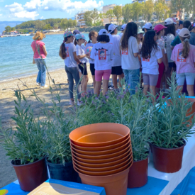 Καθαρίζοντας τη Μεσόγειο